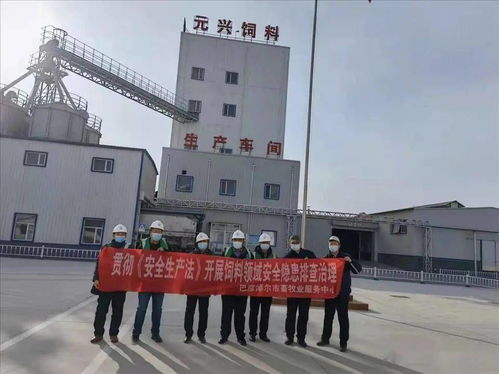 筑牢安全防線，保障市場(chǎng)供應(yīng)——市畜牧業(yè)服務(wù)中心開(kāi)展春節(jié)前飼料生產(chǎn)企業(yè)安全生產(chǎn)與銷售專項(xiàng)檢查