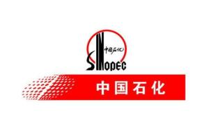 中石化石油工程技術服務 賦能能源勘探開發(fā)的科技尖兵